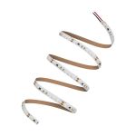 Ledvance Rubans LED Performance 78W 9125lm 24v - 965 Lumière Du Jour | 5M/8mm - Meilleur Rendu Des Couleurs