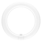 Ledvance Tube LED T9 Value Circulaire (EM/Direct 230V) 11W 1320lm - 865 Lumière Du Jour | Équivalent 22W