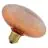 Osram Decor LED Lamp Orange Verre E27 3.5W 300lm - 827 Blanc Très Chaud | Équivalent 25W