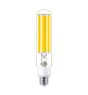 Philips TrueForce Public (Road – SON) Master LED SON-T M E27 28.5W 5400lm 300D - 727 Blanc Très Chaud