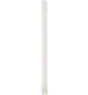 Philips MASTER PL-L 55W - 840 Blanc Froid | 4-Pins